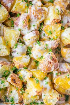 a casserole dish with potatoes, ham and cheese