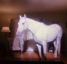 a white horse standing on top of a hard wood floor next to a chair and lamp