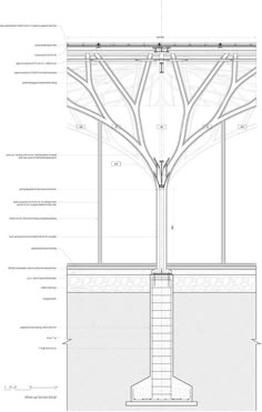 an architectural drawing shows the details of a tree