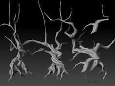 three branches with no leaves are shown in black and white