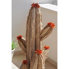 a tall cactus plant with orange flowers on it