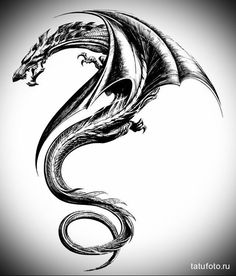 a black and white drawing of a dragon