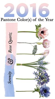 an image of flowers in the year 2010 and 2013 with text that reads pantone colors of the year