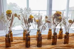 six brown glass bottles with dried flowers in them on a tableclothed surface next to a window