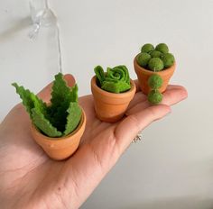 three miniature plants in clay pots on a person's hand, with water spouting from the wall behind them