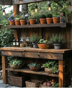 potted plants are on top of a wooden shelf in front of an outdoor area