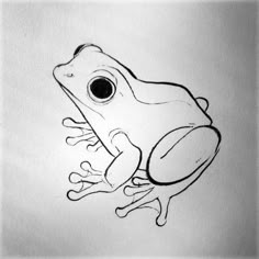 a drawing of a frog on paper