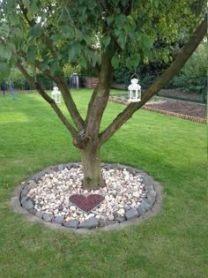 a heart shaped rock bed under a tree