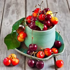 cherries in a bowl on a wooden table with leaves and berries around the bowl