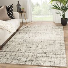 a living room with a white couch and large rug on the hardwood floor next to a potted plant