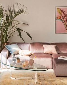 a living room with a couch, coffee table and potted plant in the corner