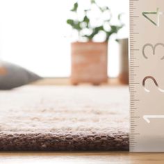 a close up of a ruler on the floor with a potted plant in the background