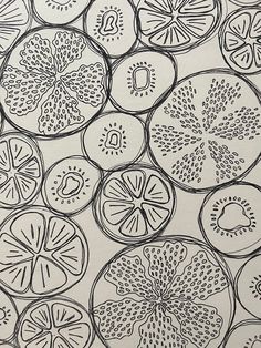 this is a drawing of several slices of fruit