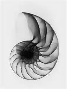 an abstract black and white photo of a spiral