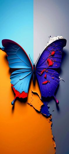 two butterflies with different colored wings on each one's back and the other half torn apart