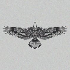 a black and white drawing of a bird flying in the sky with its wings spread