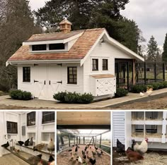 several different pictures of chickens in front of a white house and chicken coops on the outside