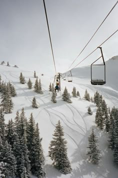 a ski lift is going up the mountain with snow on it and pine trees in the foreground