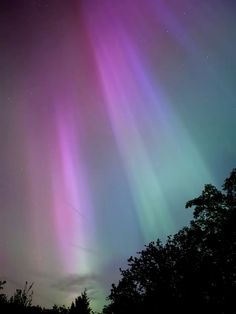 an aurora bore is seen in the sky above trees