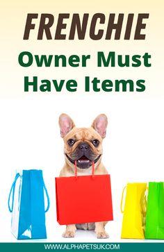 Frenchie Owner Gift Guide - French Bulldog Amazon Finds Frenchie Accessories Products, French Bulldog Toys, French Bulldog Diet, Best Food For French Bulldog Puppy, Frenchie Must Haves, French Bulldog Must Haves, French Bulldog Puppy Care, French Bulldog Care Tips, French Bulldog Care Products