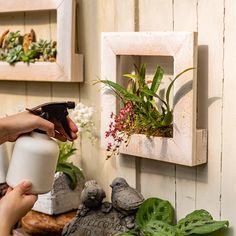 a person sprays flowers in front of a wall mounted planter with two birds