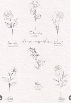 an image of flowers that are drawn in pencil and ink with the words january, june, may, may, may, may