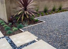 an outdoor area with gravel, rocks and plants next to a wall that has a planter in it