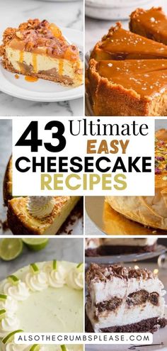 Explore 43 best cheesecake recipes that will elevate your dessert menu! From classic New York style to inventive flavors, find the perfect cake for any occasion. Best Flavored Cheesecake Recipe, Different Flavor Cheesecake, Flavored Cheesecake Recipes Easy, Different Kinds Of Cheesecake, Best Cheesecake Flavors, Cheese Cakes For Birthday, No Bake Cheesecake Flavors, New York Cheesecake Recipes Best, Different Cheesecake Recipes