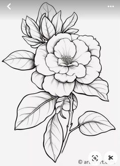 a black and white drawing of a flower with leaves on the bottom half of it