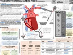 the heart is connected to an external ventilator and attached to a stethoscope