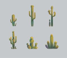 six different types of cactuses on a gray background