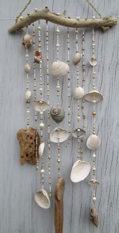 an assortment of seashells and shells hanging on a white wooden wall next to a piece of driftwood