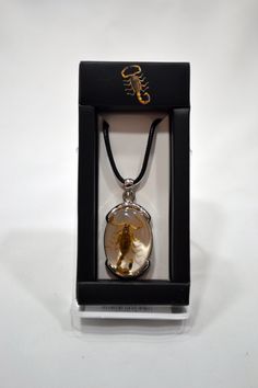 Make a bold statement with our resin-encased over metal oval-shaped scorpion necklace. This unique piece showcases a real scorpion delicately preserved in clear resin, capturing its intricate form and captivating presence within an elegant oval pendant. The pendant is securely mounted on a metal base, adding durability and a touch of sophistication to the design. The adjustable nylon cord ensures a comfortable fit for all, while the lightweight construction allows for effortless wear. Handcrafte Oval Resin Jewelry As Gift, Oval Clear Jewelry Gift, Oval Clear Jewelry For Gifts, Oval Resin Jewelry Gift, Real Scorpion, Scorpion Necklace, Spider Necklace, Voodoo Dolls, The One Show