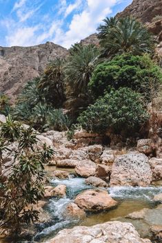 a river running through a lush green forest filled with rocks and palm tree's