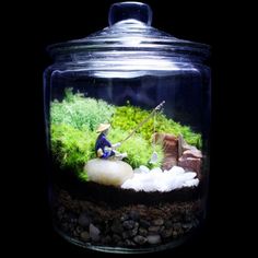 an aquarium filled with plants and rocks on top of a black surface, in front of a dark background