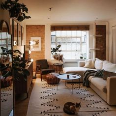 a living room filled with furniture and a cat laying on top of a rug in front of a window