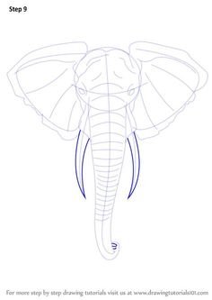 how to draw an elephant's head step by step