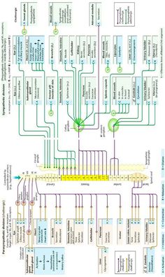 the wiring diagram for an electrical device