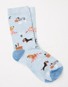 One Pack Picnic Dogs Socks Dog Socks, Chill Fits, Stocking Tights