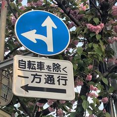 a street sign with an arrow pointing to the right in english and chinese writing on it