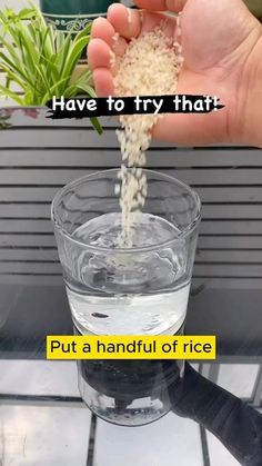 someone is pouring rice into a glass on top of a table with the words, have to try that put a handful of rice in it