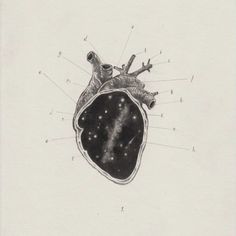 a drawing of a human heart with all the parts labeled in it's body