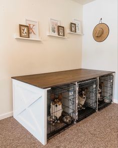 three dogs are sitting in their caged kennels on top of the floor