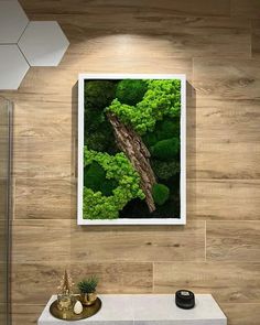 an aerial view of a tree trunk in the woods with green leaves on it's branches