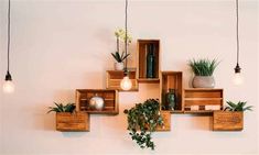 several wooden shelves with plants and books on them