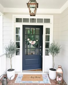 a blue front door with two potted plants next to it and a welcome mat