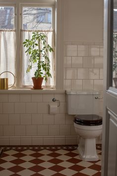 a white toilet sitting next to a window with a potted plant on top of it