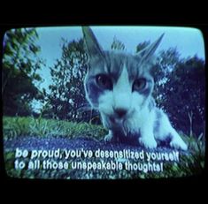 a cat is sitting in the grass with a quote on it's screen that says, be proud you've degenized yourself to all those unbreakable thought