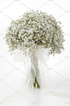 a bouquet of baby's breath flowers on a white background with a ribbon tied around it