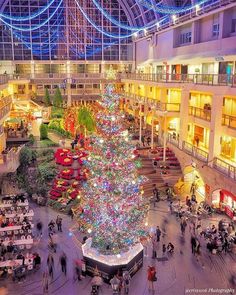 a large christmas tree in the center of a shopping mall